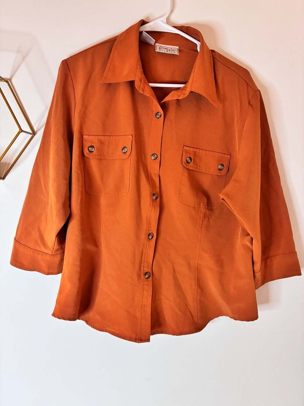 Cathy Che Stretch Rust ButtonUp Shirt Blouse Size 16